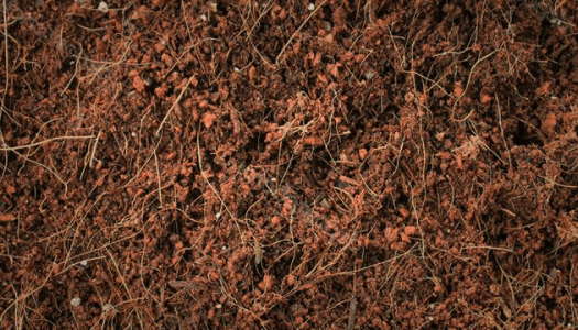 1595769415380.png