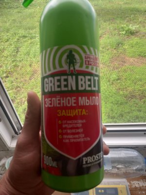20250704_162243.jpg