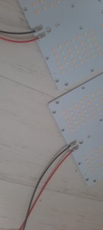 20250814_170427.jpg