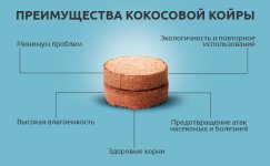 Preimushchestva-kokosovoj-kojry__cNfr8dkzMocJNttK.jpg