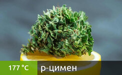 p-cimen__cJF0hNPmH01Ao4sv.jpg