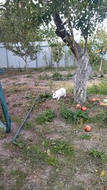IMG_20250927_163415.jpg