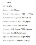 паспорт.JPG