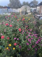 IMG_0500.jpeg