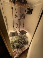 IMG_1898.jpeg