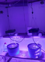20260131_060727.jpg