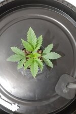 20260201_060332.jpg