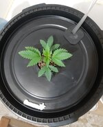 20260201_061221.jpg