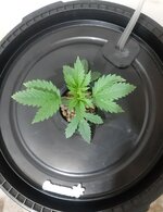 20260201_062511.jpg