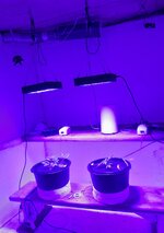 20260201_073048.jpg