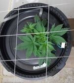 20260202_072323.jpg