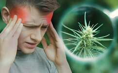 migraine.jpg