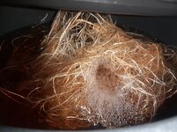 20260205_063743.jpg