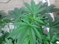 20260205_065816.jpg