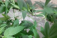 20260205_065703.jpg