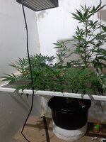 20260207_063342.jpg