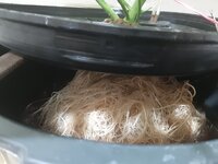 20260207_063731.jpg