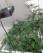 20260207_065911.jpg