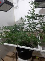 20260207_070422.jpg