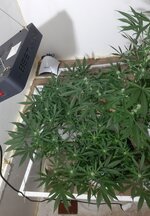 20260207_073443.jpg