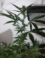 20260208_062357.jpg