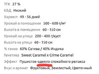 1770538878189.jpg