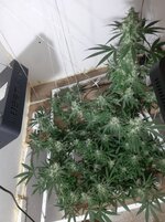20260211_052911.jpg