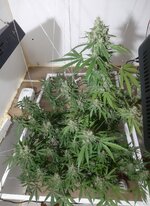 20260213_053739.jpg