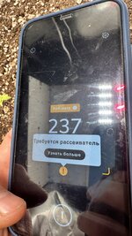 IMG_6113.jpeg