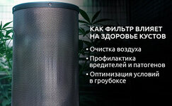 Kak-ugolnye-filtry-sposobstvuyut-zdorovomu-razvitiyu-kannabisa__Nmc9K98i3RF7PmRg.jpg