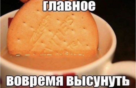 0174FBAA-EDF8-4B6A-9CDE-7DED34F95E6C.jpeg