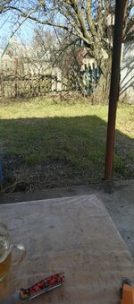 IMG_20260311_141559_869.jpg
