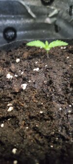 В Добрый Путь Товарищи 🌱!!!