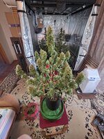 20260602_141840.jpg