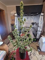 20260602_163731.jpg