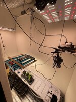 IMG_4577.jpeg
