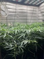 3 — копия.JPG