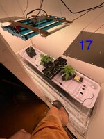 IMG_4676.jpeg