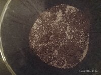 IMG_20260616_213607.jpg