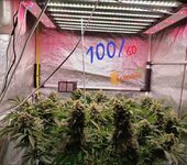 Первый раз в первый класс