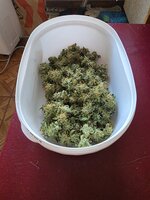 20260609_173755.jpg