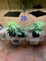 IMG_4714.jpeg