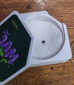 Летний гров бро " Вождя "🌱
