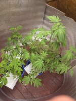 20260718_151718.jpg