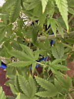 20260720_085035.jpg