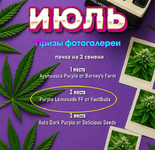 1785754971325.png