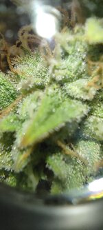 IMG_20260807_023456.jpg