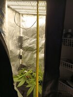 IMG_20260807_185816_905.jpg