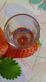 1786167901170.jpg