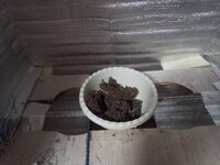 IMG_20260804_003025_170.jpg
